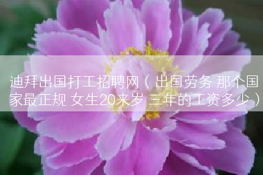 迪拜出国打工招聘网（出国劳务 那个国家最正规 女生20来岁 三年的工资多少）