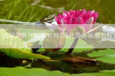 出国劳务外聘网官网(国外劳务派遣流程)