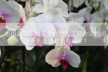 出国务工正规劳务公司？正规合法的出国劳务派遣公司有哪些？