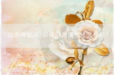 瑞典牌轴承?移民瑞典需要什么条件?