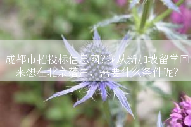 成都市招投标信息网?我从新加坡留学回来想在北京落户，需要什么条件呢?
