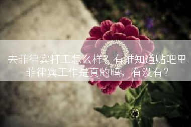 去菲律宾打工怎么样？有谁知道贴吧里菲律宾工作是真的吗，有没有？