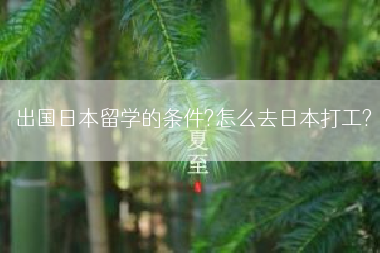 出国日本留学的条件?怎么去日本打工?