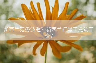 新西兰劳务派遣？新西兰打黑工建筑工资？