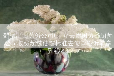 鹤壁出国劳务公司(中介去德国劳务厨师公司收费超过使馆标准去使管投诉能拿到钱不)