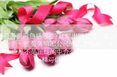劳务费用包括哪些?我想出国劳务，我看到的一些劳务输出公司的工资很高，不知道是不是正规的中介公司，请问怎么样可以查询?