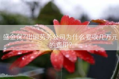 盛金保?出国劳务公司为什么要收几万元的费用?