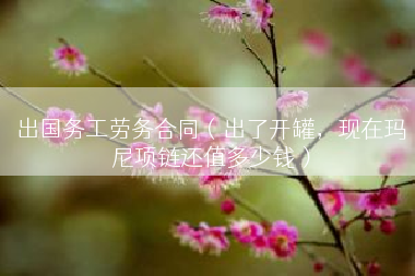出国务工劳务合同（出了开罐，现在玛尼项链还值多少钱）