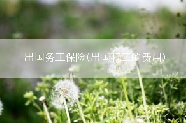 出国务工保险(出国打工的费用)