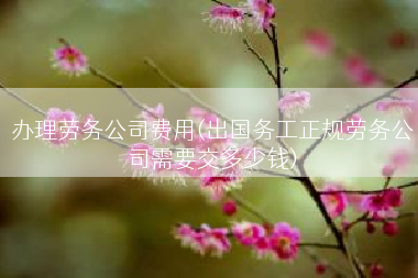 办理劳务公司费用(出国务工正规劳务公司需要交多少钱)