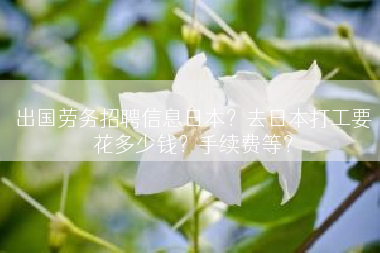 出国劳务招聘信息日本？去日本打工要花多少钱？手续费等？