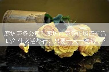 廊坊劳务公司？廊坊市劳务市场还有活吗？什么活都行，只要一天一给钱。？