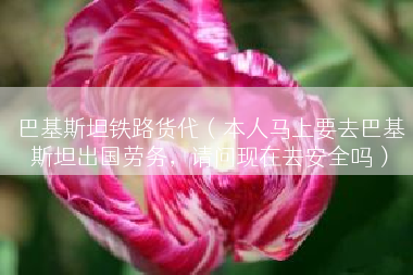 巴基斯坦铁路货代（本人马上要去巴基斯坦出国劳务，请问现在去安全吗）
