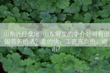 山东外经集团?山东哪里的中介公司有出国劳务的活？走的快，工资高点的。谢谢?