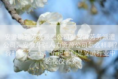 安徽铜瑞劳务派遣公司？安徽劳务派遣公司，安徽华瑞人力资源公司怎么样啊？我打听了一下，听说他们是安徽行业中的佼佼者？