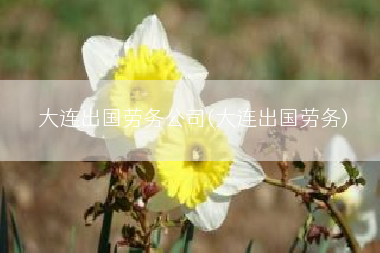 大连出国劳务公司(大连出国劳务)