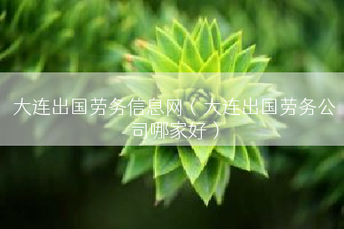 大连出国劳务信息网（大连出国劳务公司哪家好）