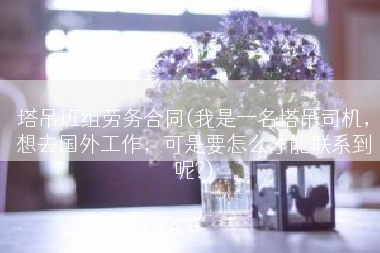 塔吊班组劳务合同(我是一名塔吊司机，想去国外工作，可是要怎么才能联系到呢?)