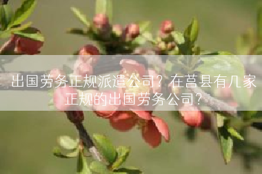 出国劳务正规派遣公司？在莒县有几家正规的出国劳务公司？
