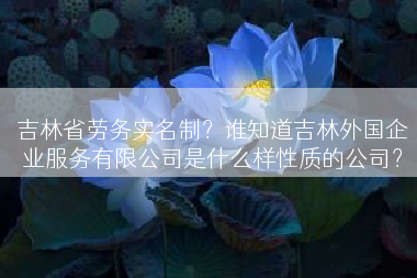 吉林省劳务实名制？谁知道吉林外国企业服务有限公司是什么样性质的公司？