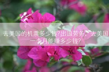 去美国的机票多少钱?出国劳务，去美国一个月能赚多少钱?
