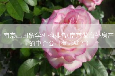 南京出国留学机构排名(南京做海外房产的中介公司有哪些？)