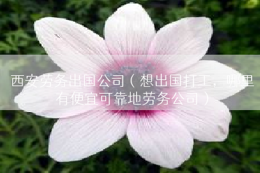 西安劳务出国公司（想出国打工，哪里有便宜可靠地劳务公司）