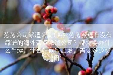 劳务公司派遣公司(海外劳务派遣有没有靠谱的海外劳务派遣公司？都需要办什么手续，什么时候能出发，需要多少费用)