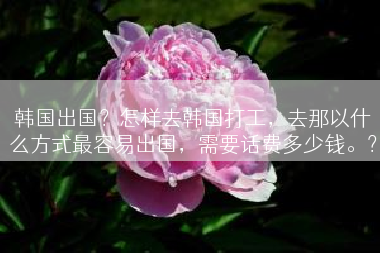 韩国出国？怎样去韩国打工，去那以什么方式最容易出国，需要话费多少钱。？