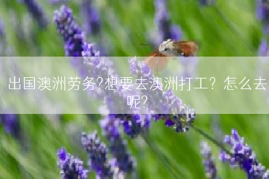 出国澳洲劳务?想要去澳洲打工？怎么去呢?