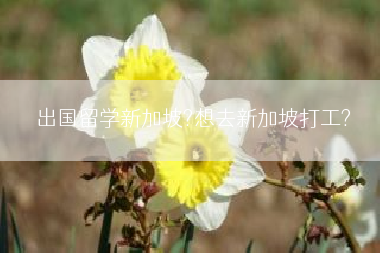 出国留学新加坡?想去新加坡打工?