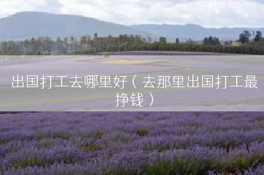 出国打工去哪里好（去那里出国打工最挣钱）