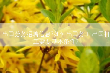 出国劳务招聘信息?如何出国务工 出国打工需要基本条件?