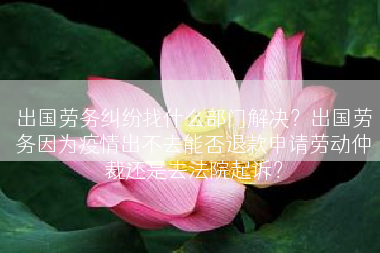 出国劳务纠纷找什么部门解决？出国劳务因为疫情出不去能否退款申请劳动仲裁还是去法院起诉？