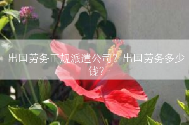 出国劳务正规派遣公司？出国劳务多少钱？