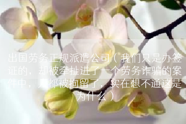 出国劳务正规派遣公司（我们只是办签证的，却被牵扯进了一个劳务诈骗的案件中，人都被拘留了，实在想不通这是为什么）