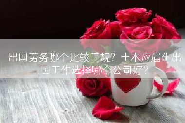 出国劳务哪个比较正规？土木应届生出国工作选择哪个公司好？