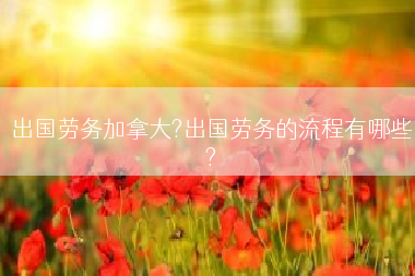 出国劳务加拿大?出国劳务的流程有哪些?