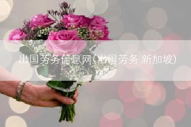 出国劳务信息网(出国劳务 新加坡)