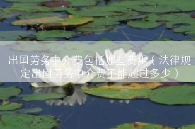 出国劳务中介费包括哪些费用（法律规定出国劳务中介费不能超过多少）