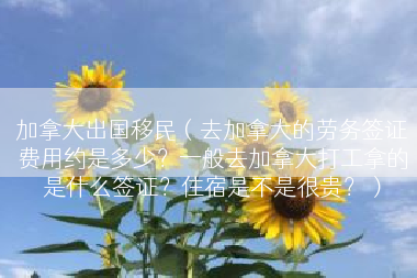 加拿大出国移民（去加拿大的劳务签证费用约是多少？一般去加拿大打工拿的是什么签证？住宿是不是很贵？）