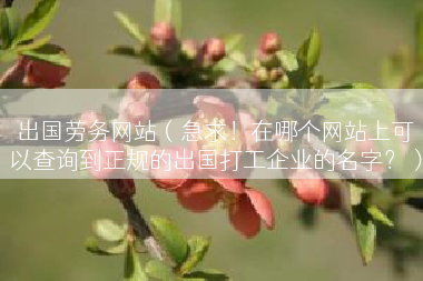 出国劳务网站（急求！在哪个网站上可以查询到正规的出国打工企业的名字？）