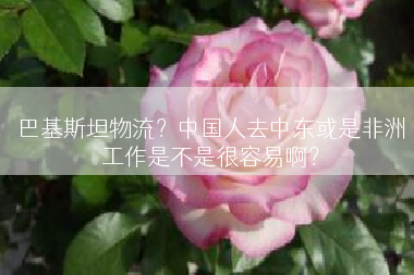 巴基斯坦物流？中国人去中东或是非洲工作是不是很容易啊？
