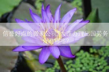 信誉好点的搬家公司?大连办理出国劳务公司哪些?