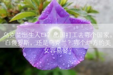 乌克兰出生人口？出国打工去哪个国家。白俄罗斯，还是乌克兰？哪个地方的美女容易娶？