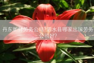 丹东朝鲜劳务公司?泗水县哪家出国劳务公司好?