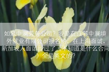 如皋中澜劳务公司？我是在江苏中澜境外就业有限公司报名的，在上海面试，新加坡人面试能过了《不知道是什么合同》全是英文的？