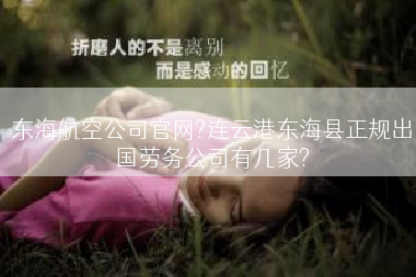 东海航空公司官网?连云港东海县正规出国劳务公司有几家?