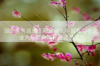国企劳务派遣工稳定嘛？中国有哪些企业大规模向海外外派员工？