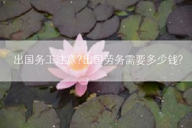 出国务工注意?出国劳务需要多少钱?
